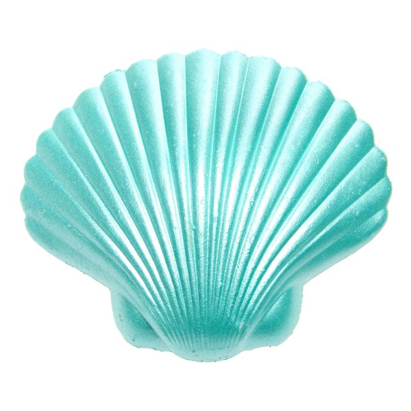 magische schelp blauw