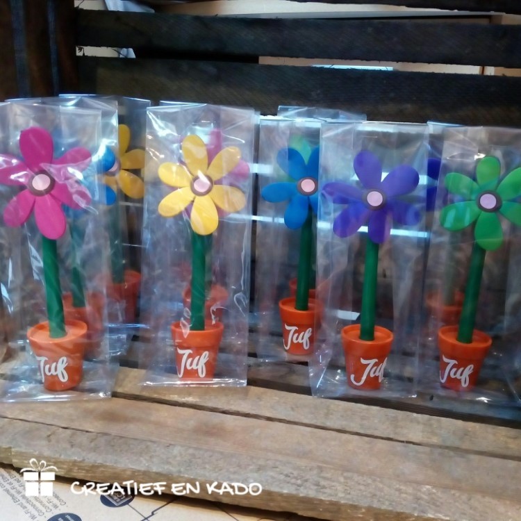 bloemen pen juf, cadeau juf