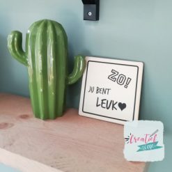 Zo! jij bent leuk houten kaart