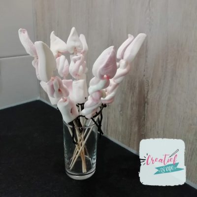 spekjes vuurpijlen, Oud en Nieuw traktatie,