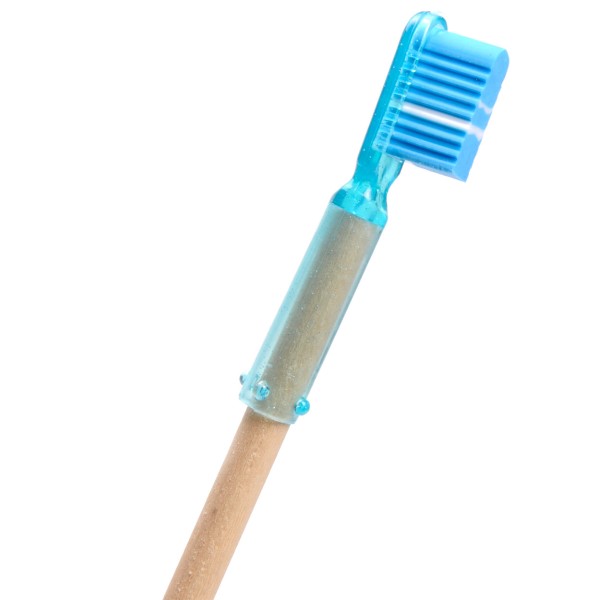 tandenborstel gum, gekleurde gum, tandenborstel gekleurd, traktatie gum, uitdeelkadootje