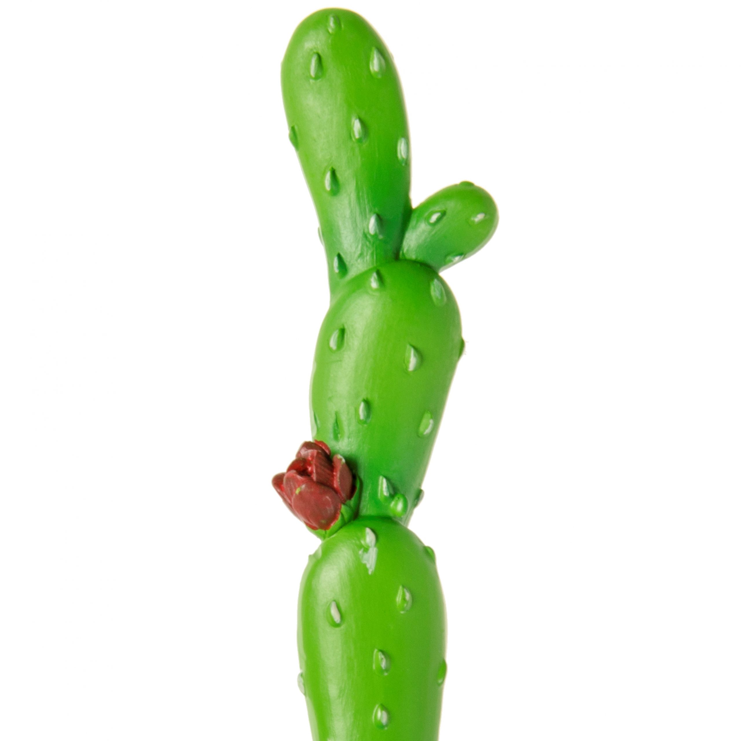 balpen cactus, alpaca traktatie, safari traktatie