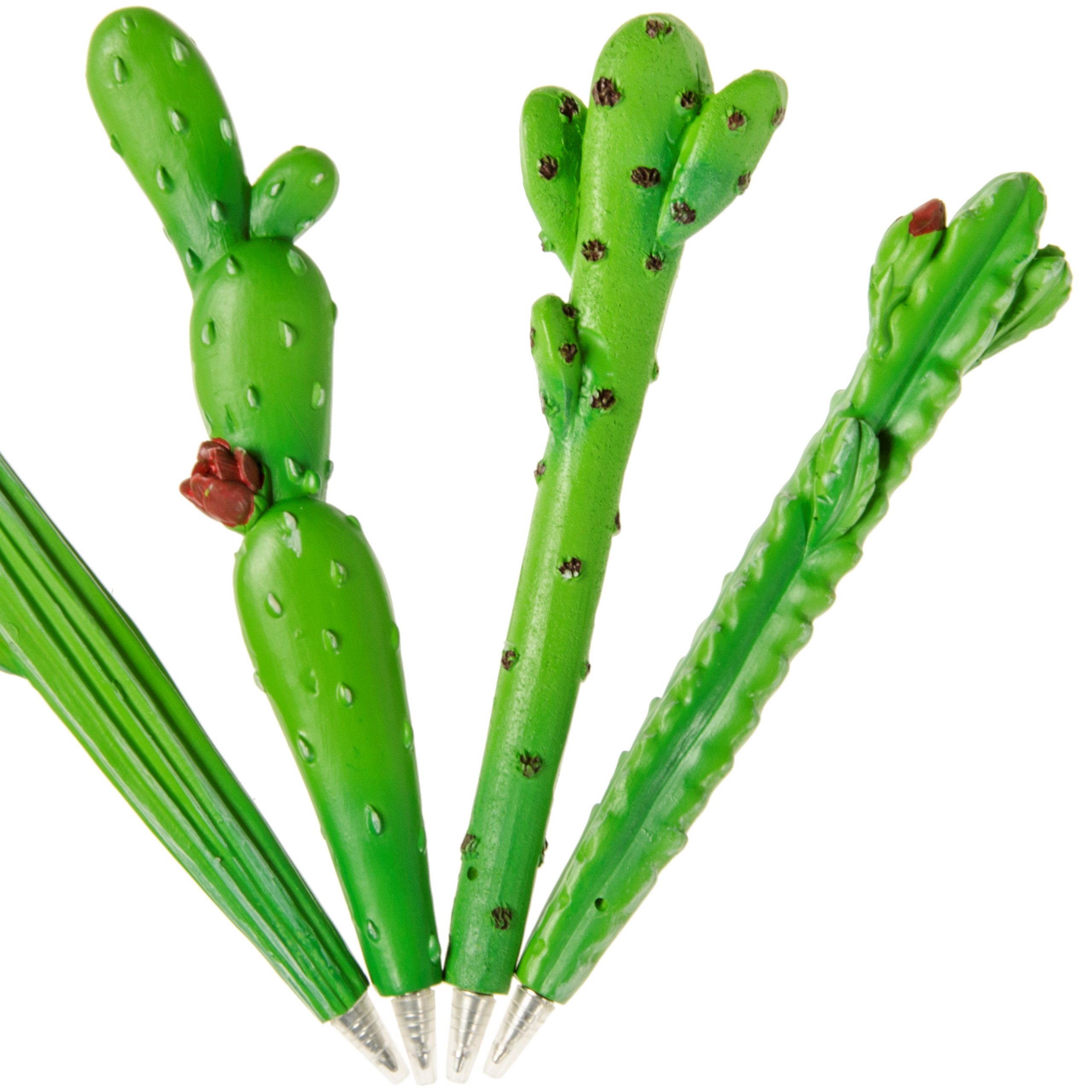 balpen cactus, alpaca traktatie,