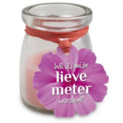 love light meter, love light peettante