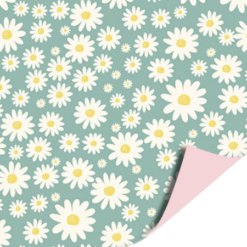 inpakpapier daisies, kadopapier, inpakken