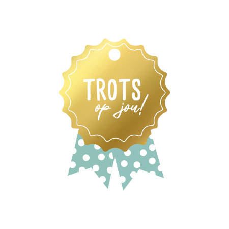 kadolabel medaille trots op jou, kado kaartje, inpakken