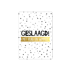 mini kaart geslaagd met vlag en wimpel, mini kaartje geslaagd, kado examen, inpakken