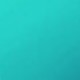 flex mint