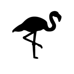 flamingo afbeelding