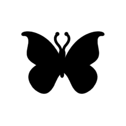 vlinder afbeelding